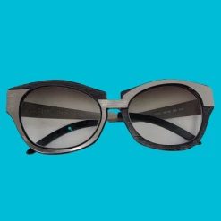 The Sparkling Spur Luce Pagni Glasses Frames