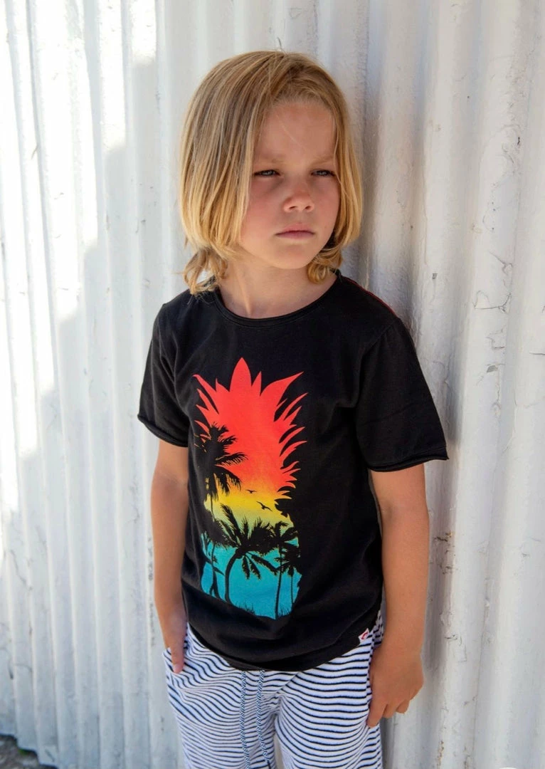 Cheapest 😉 Appaman Kids Of A King Pineapple Island Graphic Tee 🌟 5 Appaman Kids Of A King Pineapple Island Graphic Tee