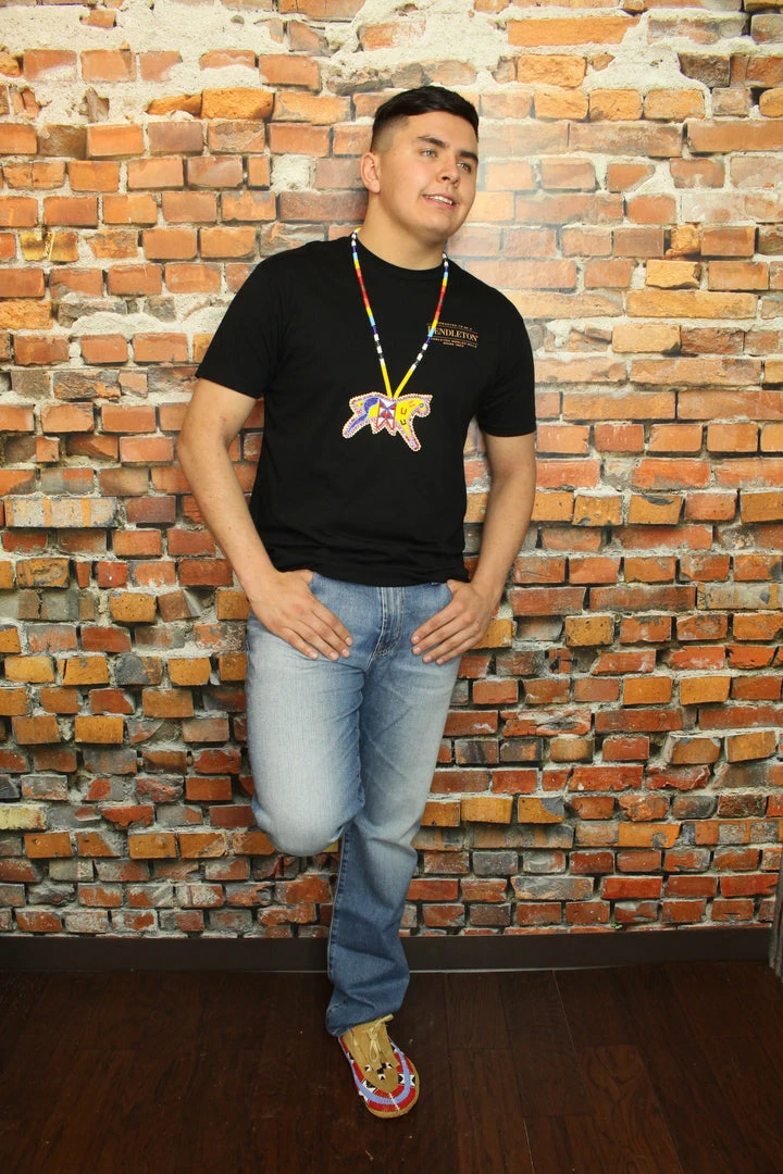 Wholesale π Pendleton Men's π Shirts Sierra Ridge Circle Graphic Tee π 8 Pendleton Men's Shirts Sierra Ridge Circle Graphic Tee